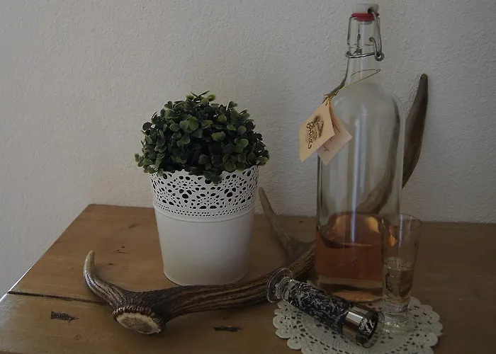 Apartament Konrad Ehrwald